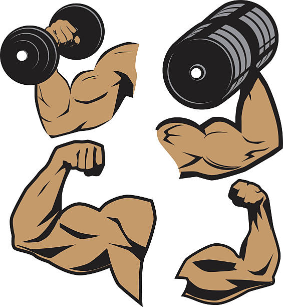 weightlifter ramiona - flexing muscles bicep men human arm stock illustrations