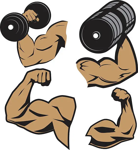 Vector illustration of Weightlifter Arms