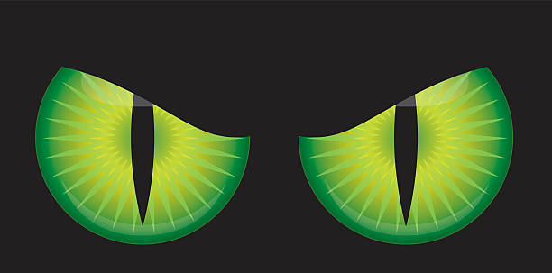 Scary Monster Eyes Vector illustration of a set of scary monster eyes against a black background. creepy glowing eyes stock illustrations