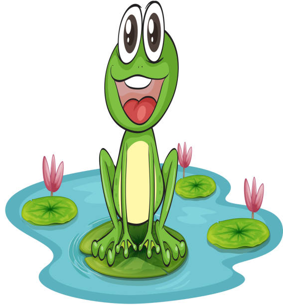 ilustrações de stock, clip art, desenhos animados e ícones de rã e água - white background close up frog amphibian
