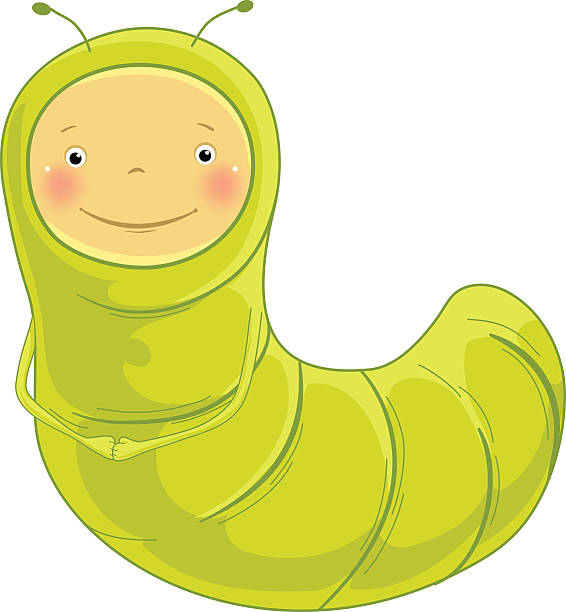 ilustrações de stock, clip art, desenhos animados e ícones de larva de geometridae personagem - inchworm