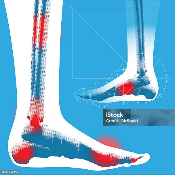 Foot Detail Side View Stock Illustration - Download Image Now - Anatomy, Ankle, Biomedical Illustration