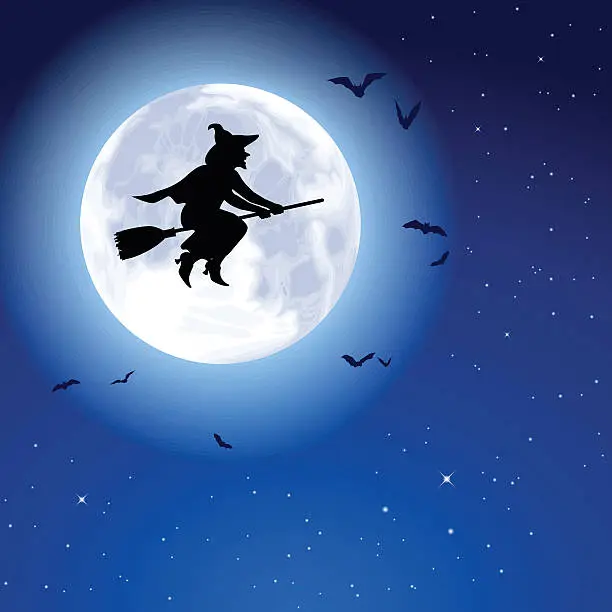 Vector illustration of Witch Fly Moon