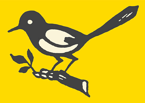 illustrations, cliparts, dessins animés et icônes de oiseau sur la branche - birdsong