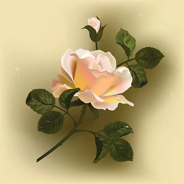 Vector illustration of Pink rose