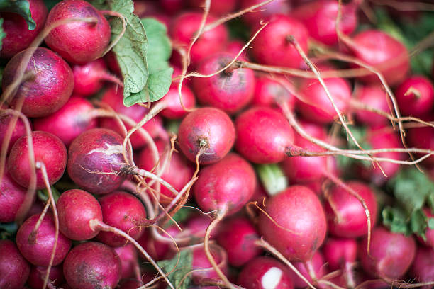 Radishes