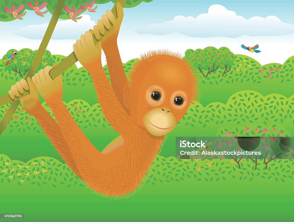 Jeune orang-utan (pongo) dans la jungle. - clipart vectoriel de Grand singe libre de droits