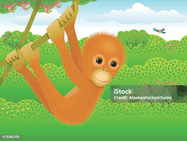 Jeune Orangutan Dans La Jungle Vecteurs libres de droits et plus d'images vectorielles de Grand singe - Grand singe, Liane, Arbre