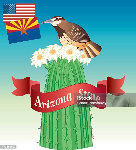 Cactus Wren - サボテンミソサザイのベクターアート素材や画像を多数ご用意 - サボテンミソサザイ, アメリカ合衆国, アリゾナ州