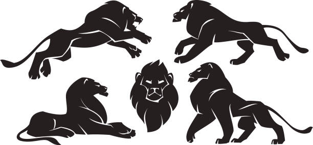 Four Lions and head vector art illustration