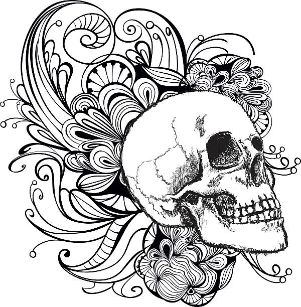 Skull vector art illustration