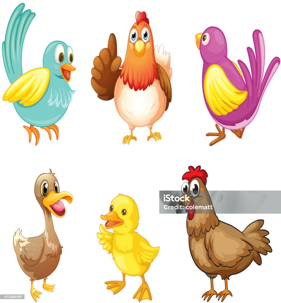 Different kind of birds Different kind of birds on a white background Animal stock vector