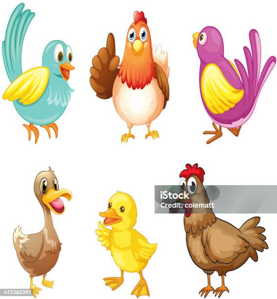 Different Kind Of Birds Stock Illustration - Download Image Now - Animal, Animal Family, Bipedalism