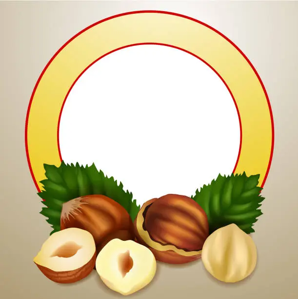 Vector illustration of Hazelnuts