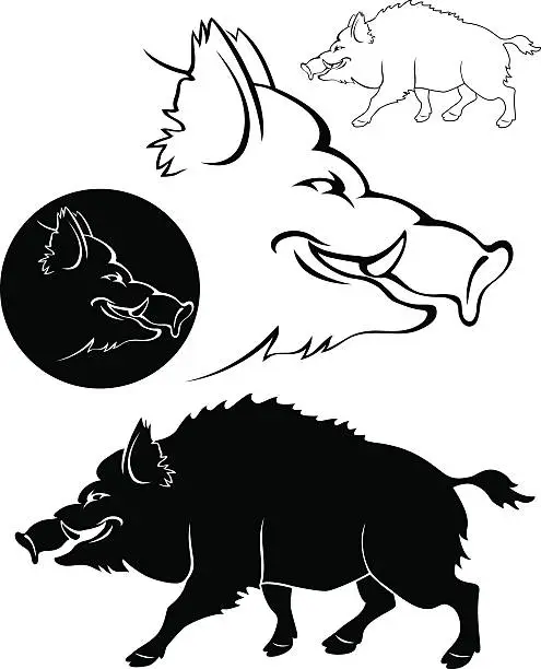 Vector illustration of wild boar