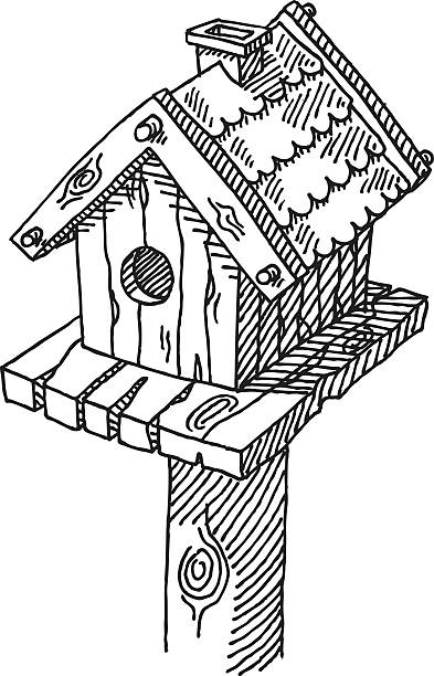 vogelhäuschen zeichnung - birdhouse wood isolated white background stock-grafiken, -clipart, -cartoons und -symbole