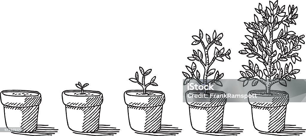 Potted Plant Growing Timelapse Drawing Hand-drawn vector drawing of a Potted Plant Growing Timelapse. Black-and-White sketch on a transparent background (.eps-file). Included files are EPS (v10) and Hi-Res JPG. Plant stock vector