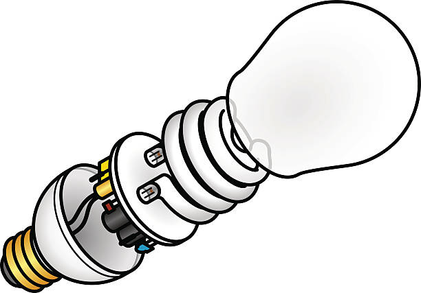 Compact Fluorescent Bulb Exploded diagram of a CFL (Compact Fluorescent Lamp) lightbulb. ballast stock illustrations