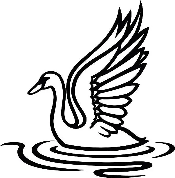 Vector illustration of Swan