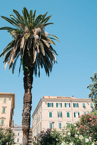 istock Park in Ancona with trees and old buildings 472378062