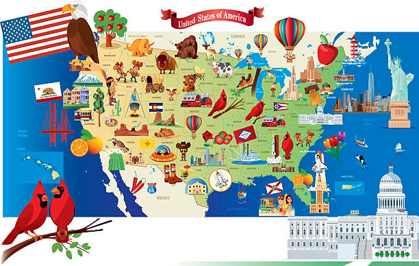 Cartoon map of USA Cartoon map of USA buffalo iowa stock illustrations