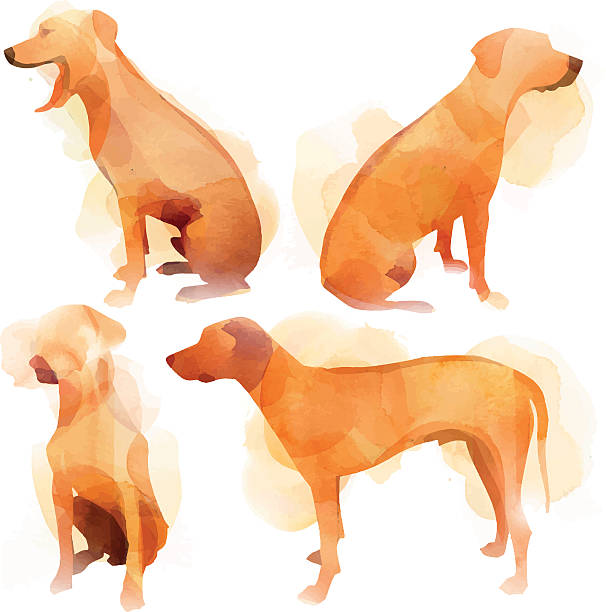 ilustraciones, imágenes clip art, dibujos animados e iconos de stock de perro juego de rodesia - paint can