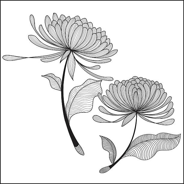 doodle Chrysanthemum-illustration vector art illustration