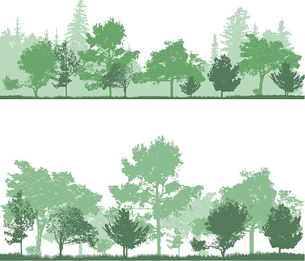 las tła - tree landscape landscaped forest stock illustrations