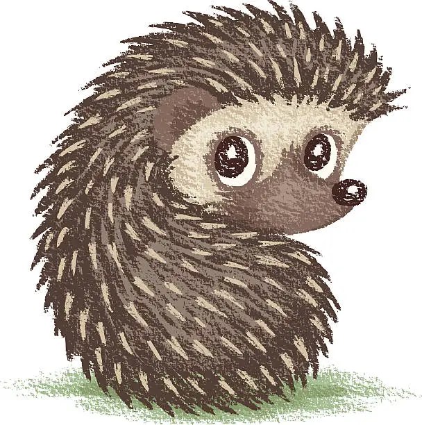 Vector illustration of Hedgehog which looks at back