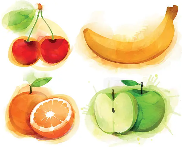 Vector illustration of Watercolor Fruits