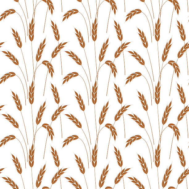 wheat wallpaper wheat wallpaper bread patterns stock illustrations