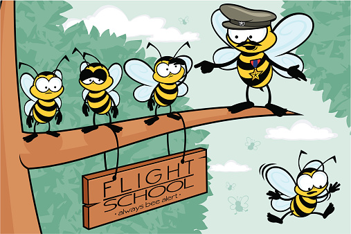 Bee Flight School. Always bee alert!