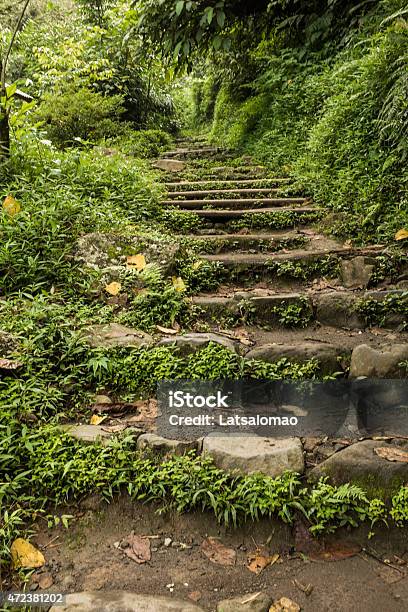 Madakaripura Waterfall Steps Stock Photo - Download Image Now - 2015, Bromo-Tengger-Semeru National Park, East Java Province
