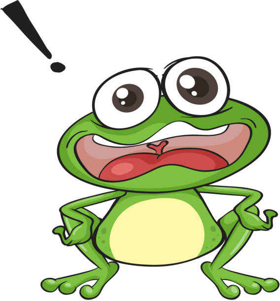 ilustrações de stock, clip art, desenhos animados e ícones de sapo verde - white background close up frog amphibian