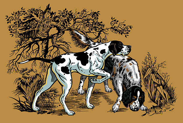 hunting hunden im wald illustrationen - pointer hund stock-grafiken, -clipart, -cartoons und -symbole