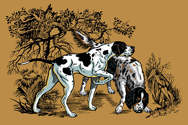 사냥 멍멍이 in 임산 일러스트 - nature dog alertness animal stock illustrations