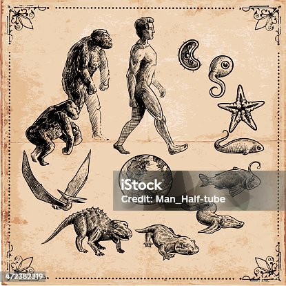 istock Evolution of Life 472382319