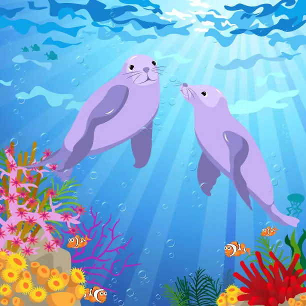 Vector illustration of Coule Seal Swimming Under the Sea