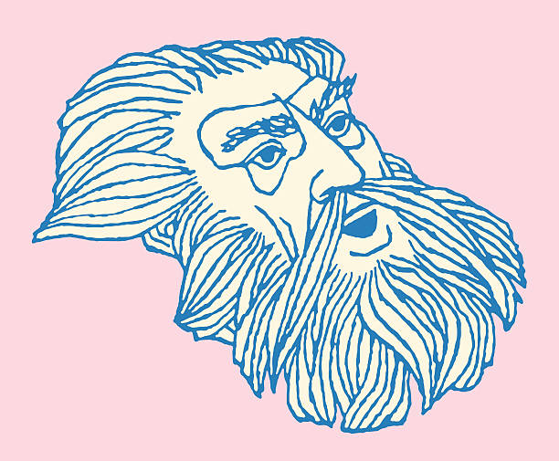 ilustraciones, imágenes clip art, dibujos animados e iconos de stock de hombre viejo invierno - men old human eye beard