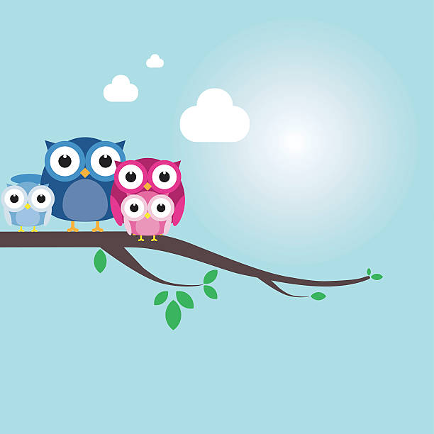 милый owls пара с baby сова, сидящая на филиала - owl young animal bird mother stock illustrations