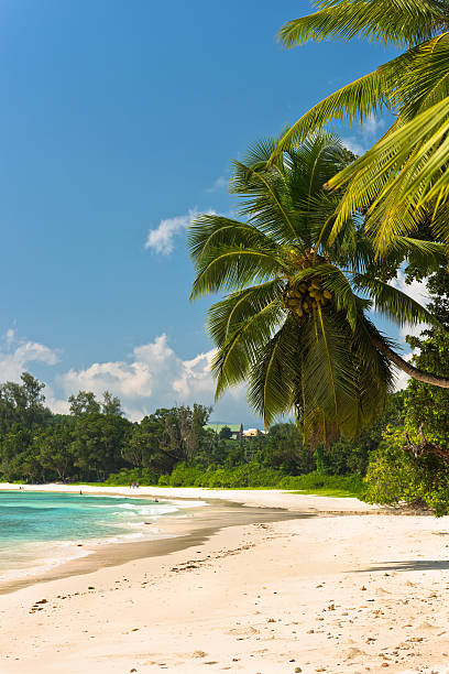 istock Tropical beach at Mahe island Seychelles 472386010