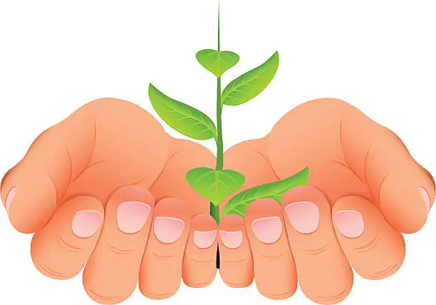 Vector illustration of Seedling in hand