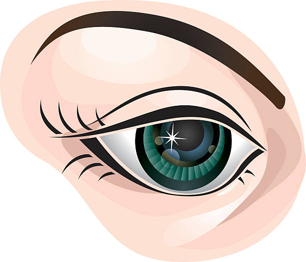 Occhio femmina - illustrazione arte vettoriale