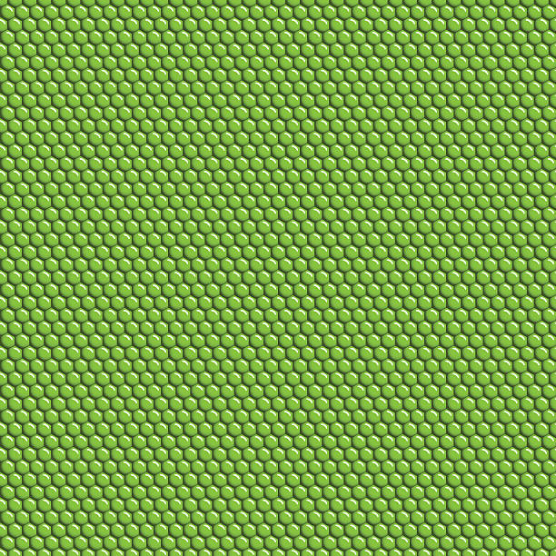 Iguana skin seamless pattern vector art illustration