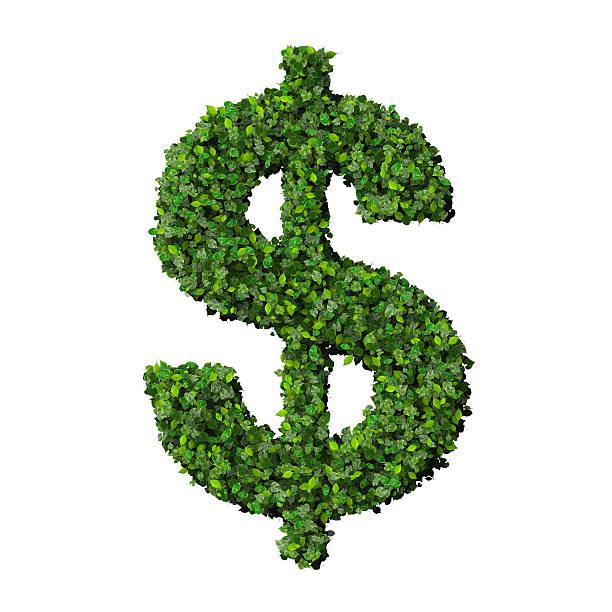 Dollar (currency) symbol or sign made from green leaves stock photo