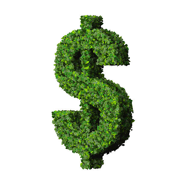 Dollar (currency) symbol or sign made from green leaves stock photo