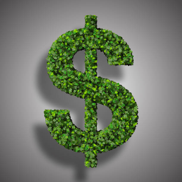 istock Dollar (currency) symbol or sign made from green leaves 472387868
