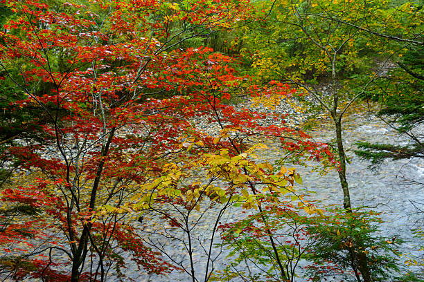 istock Kamikochi in Nagano, Japan 472391128