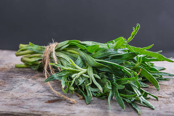 пучок свежего эстрагона - tarragon twig plant herb стоковые фото и изображения