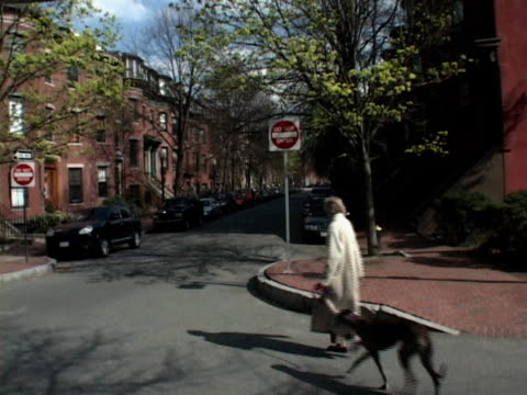 Woman Walking a Dog
